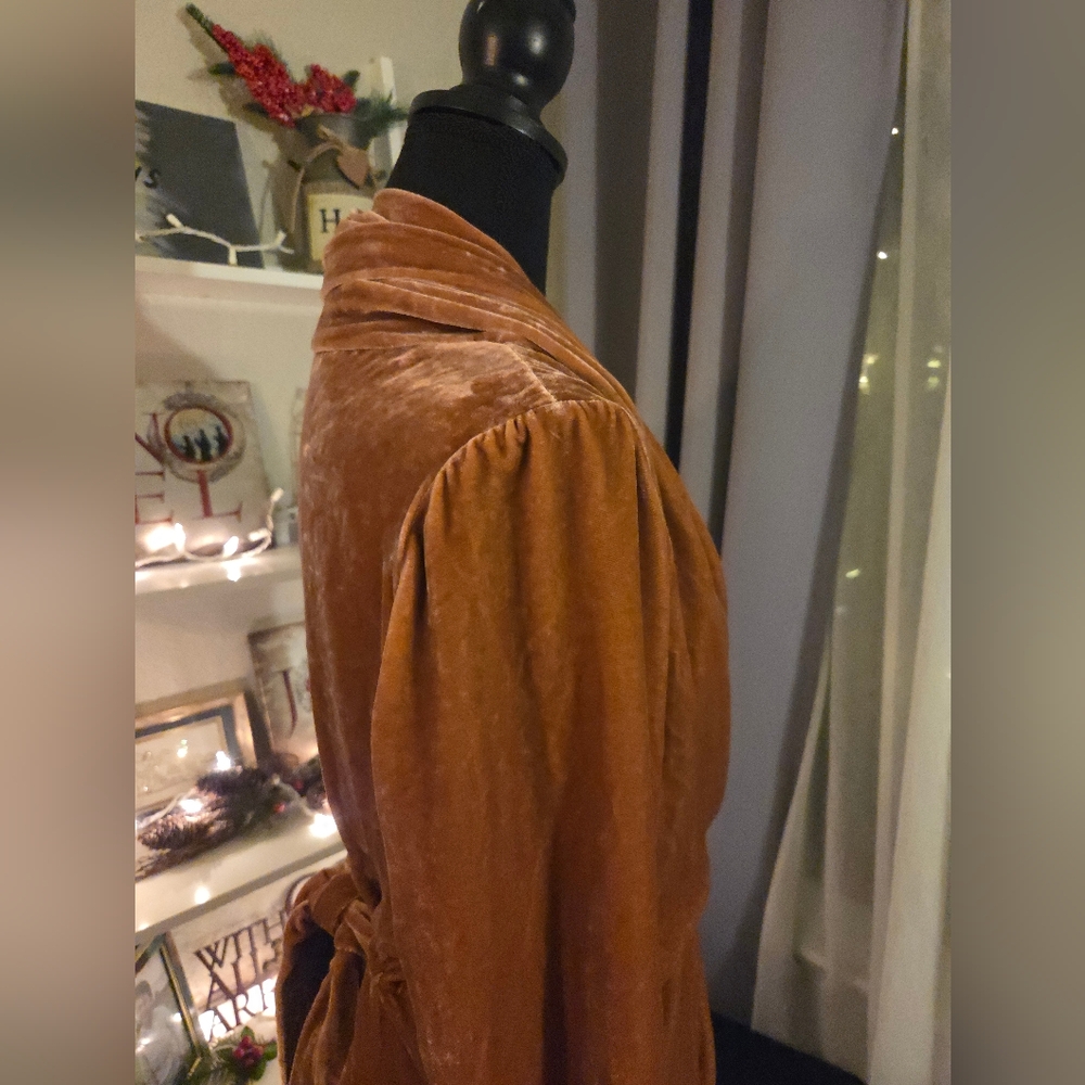 Rick Owens Burnt Pink Velvet Wrap Dress - Picture 5 of 14